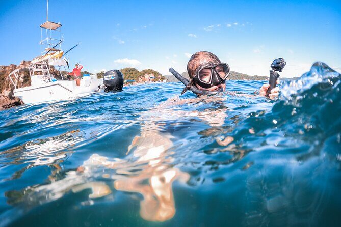Isla Tortuga boat tour - from Paquera - A Deep Dive into the Isla Tortuga Boat Tour from Paquera