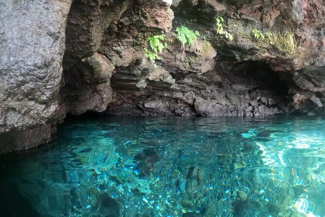 Island Adventure for Cruise Ship Passengers - An In-Depth Look at the Samoa Island Adventure Tour