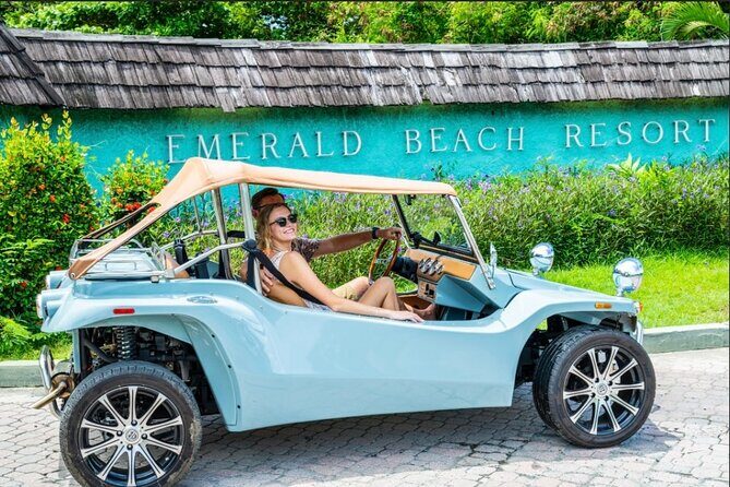 Island Buggy Excursions - An In-Depth Look at Island Buggy Excursions