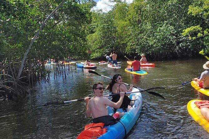 Island City ECO Paddle and Lesson to 9.3 Acre Nature Preserve - Exploring Fort Lauderdales Waterways: An Honest Look at the ECO Paddle Tour