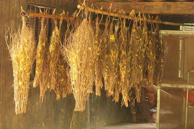 Island Community Life in Phnom Penh - A Closer Look at the Itinerary