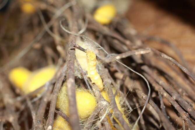 Island Community Life in Phnom Penh - Frequently Asked Questions