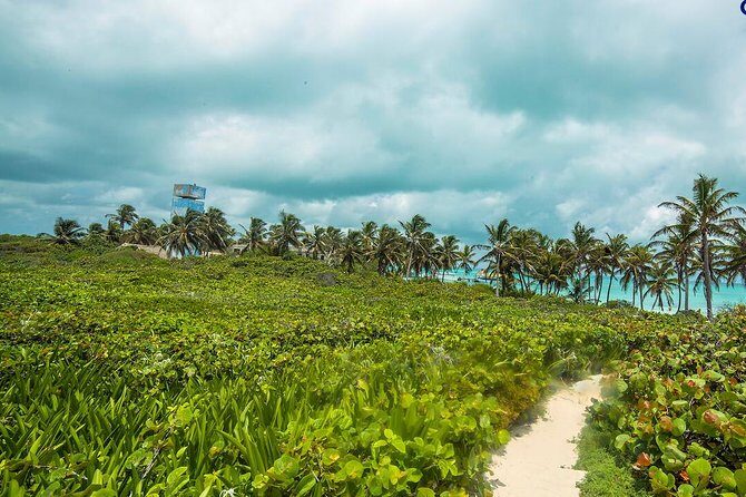 Island Contoy Adventour & Buffete & Isla Mujeres only from Cancun - Frequently Asked Questions (FAQs)