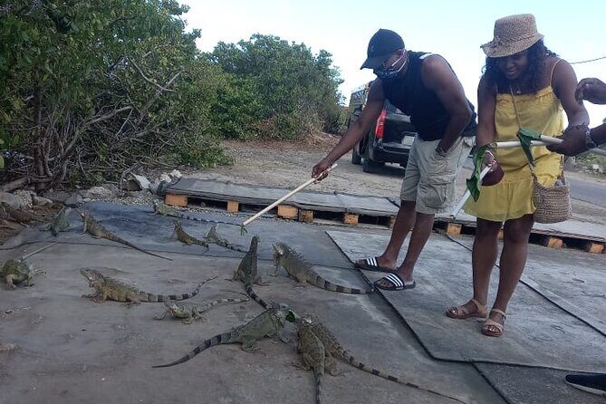 Island Experience Of St Maarten St Martin - Who Should Consider This Tour?