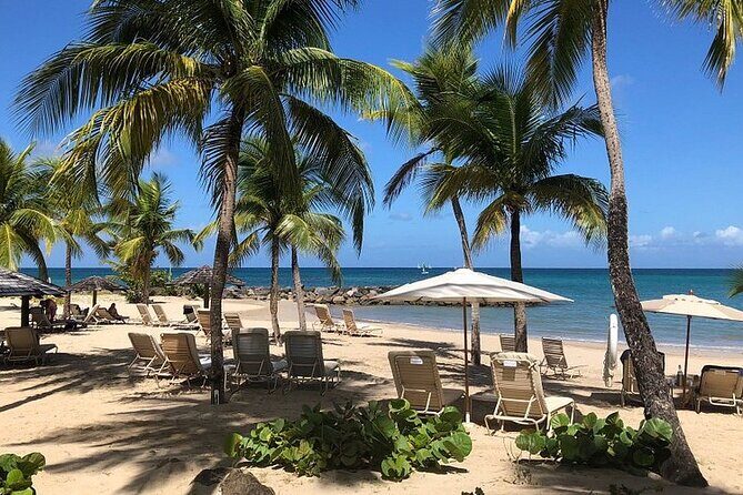 Island Flavors and Views Castries Rum Bananas and Beach Day - Experience the Best of Saint Lucia with the Island Flavors and Views Tour