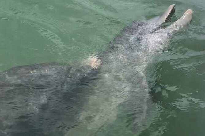 Island Hopping and Snorkeling Trip - Final Thoughts