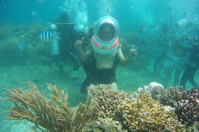 Island Hopping Plus Sea Walking Nha Trang - Key Points