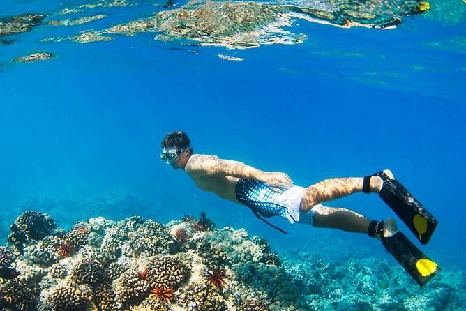 Island Hopping Tour (2 Island) From Kota Kinabalu - FAQ