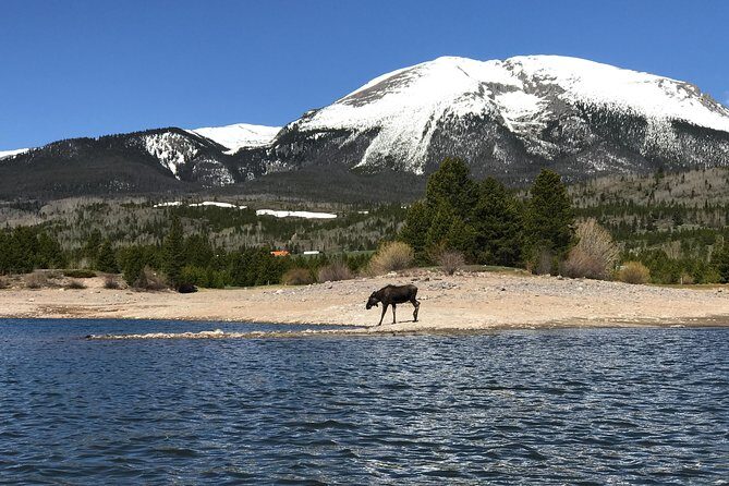 Island Kayak Tour Experience in Frisco - FAQ