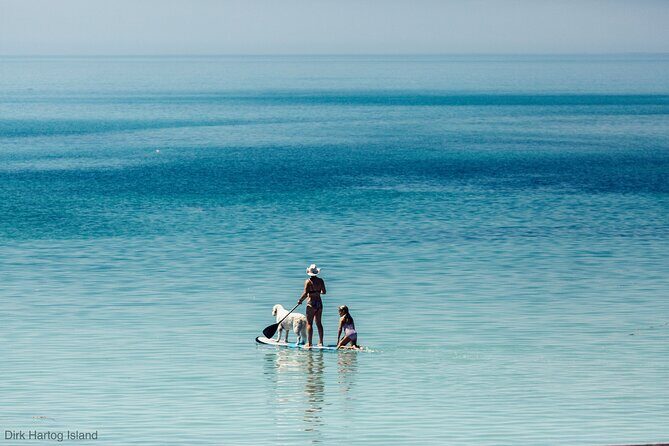 Island Life Adventures | A Day at Dirk - Who Is This Tour For?