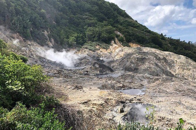 Island Life Tour - Exploring the Island with the Island Life Tour