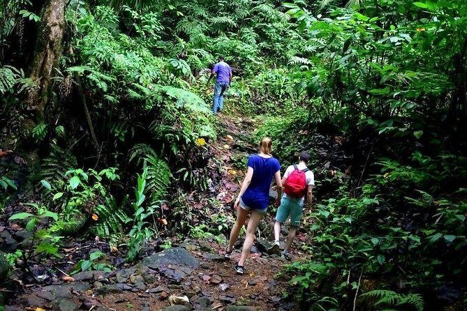 Island Life Tour - FAQ