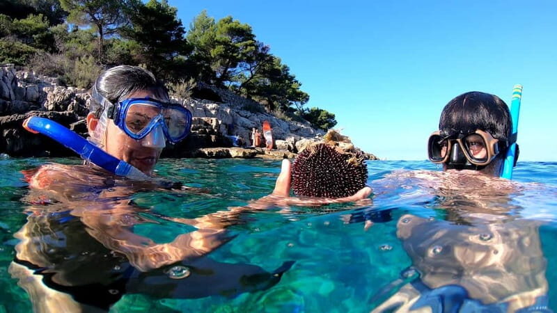 Island Losinj Kayak Tour - Equipment & Inclusions