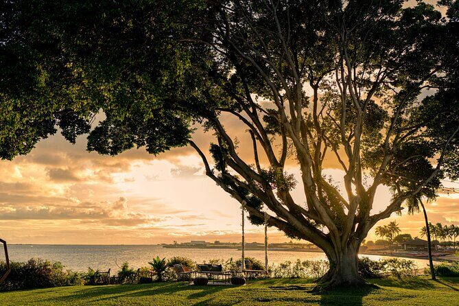 Island of Magic Private Wedding Tour - Who Is This Tour Best Suited For?