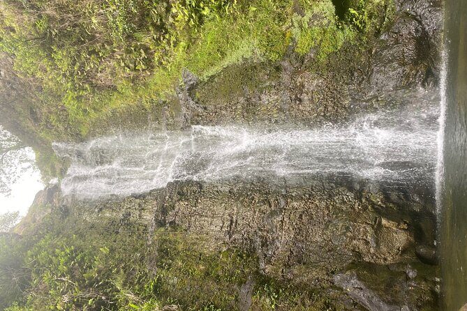 Island of Maui Customized Half Day Tour - A Deep Dive into the Maui Half-Day Tour