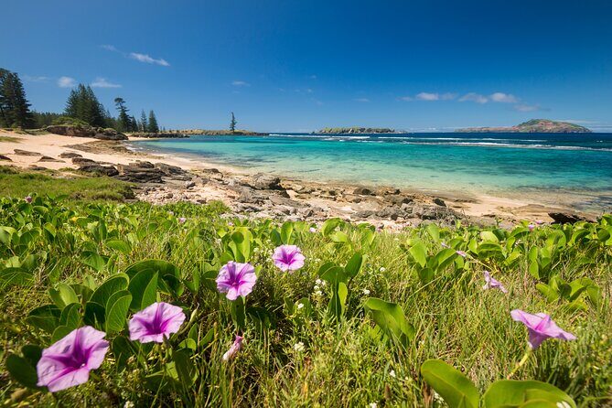 Island Orientation Package incl. Return Airport Transfers & Tour - Frequently Asked Questions