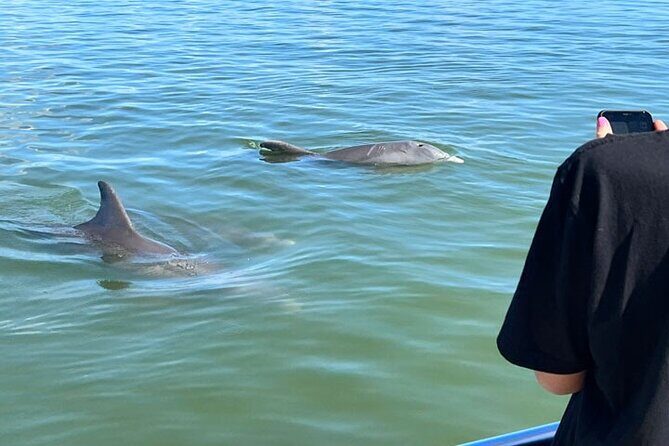 Island Paradise: Dolphin, Shelling, Birding Eco Boat Tour - Final Thoughts: Who Is This Tour For?
