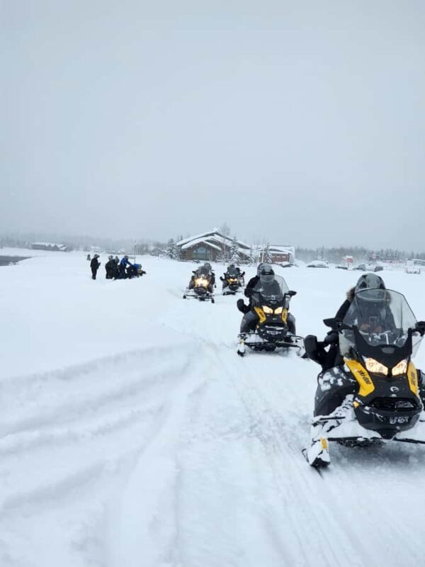 Island Park: Full Day Snowmobile Rental - A Deep Dive into the Snowmobile Experience in Island Park