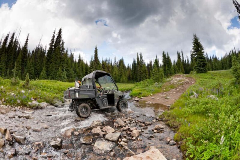 Island Park: Full-Day UTV Adventure - Exploring the Details of the Island Park UTV Adventure