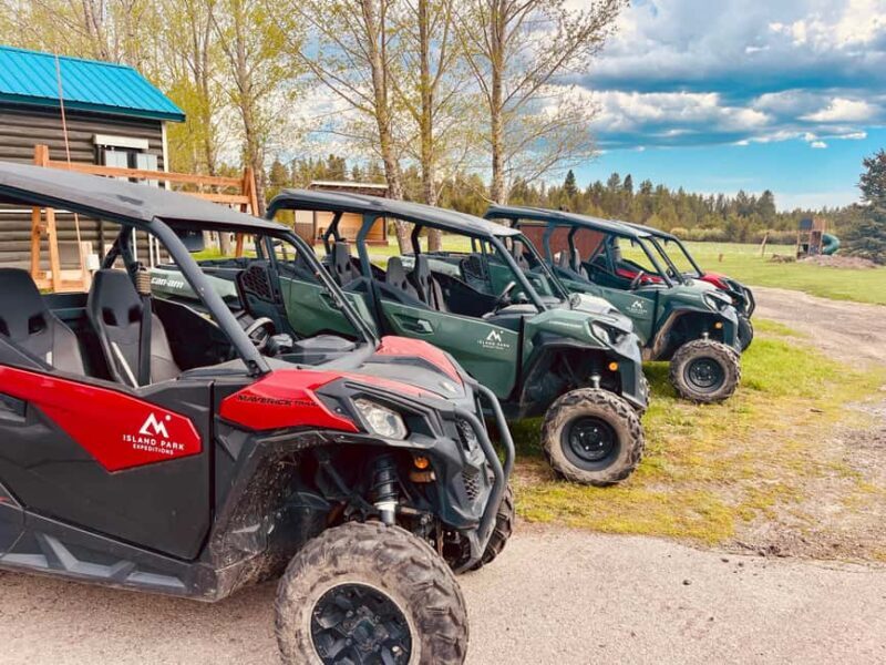 Island Park: Full-Day UTV Adventure - Authentic Experiences and Practical Tips