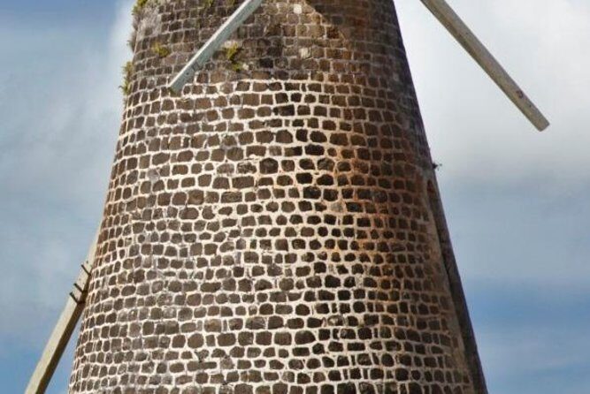 Island Safari 4x4 Discovery Tour from St John's - An In-Depth Look at the Island Safari 4x4 Discovery Tour