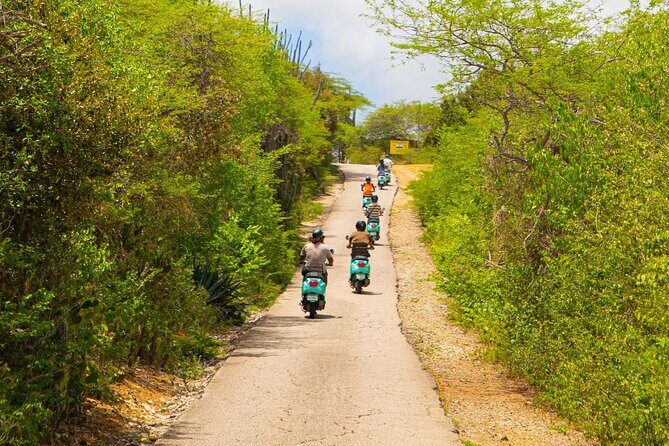 Island Scooter Tour Bonaire - Who Will Love This Tour?