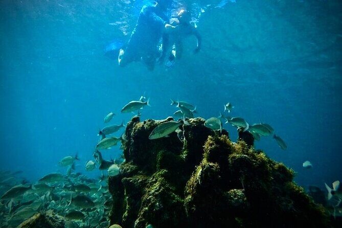 Island & Snorkeling Tour  Smuggler + Cane Garden Bay - Authentic Experiences and Real Traveler Insights