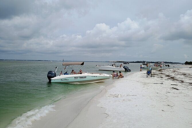 Island Time Adventure  Private 6-Hour Clearwater Cruise - Who Would Love This Tour?