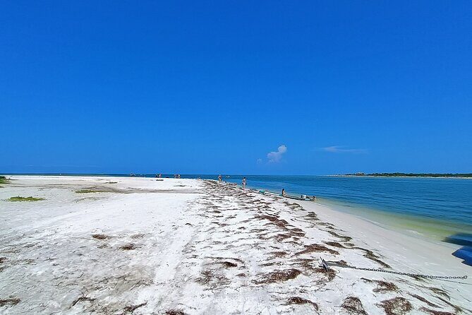 Island Time Adventure  Private 6-Hour Clearwater Cruise - Final Thoughts