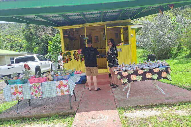 Island Tour - Key Points