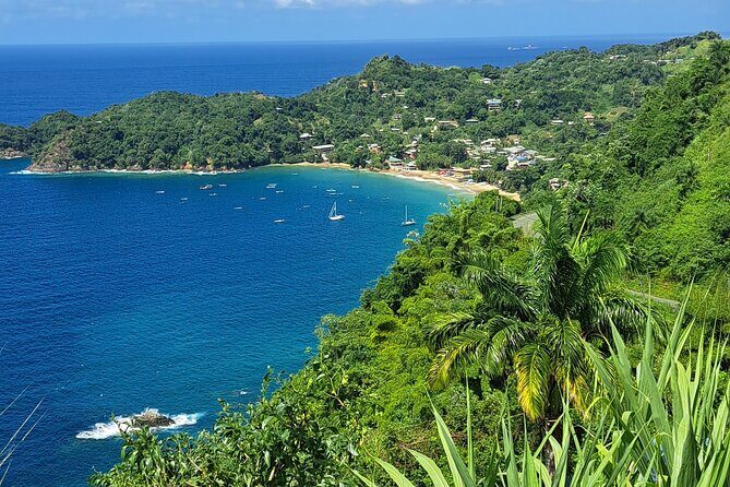 Island Tour (Food and Drinks include) - Deep Dive: The Itinerary and Its Value