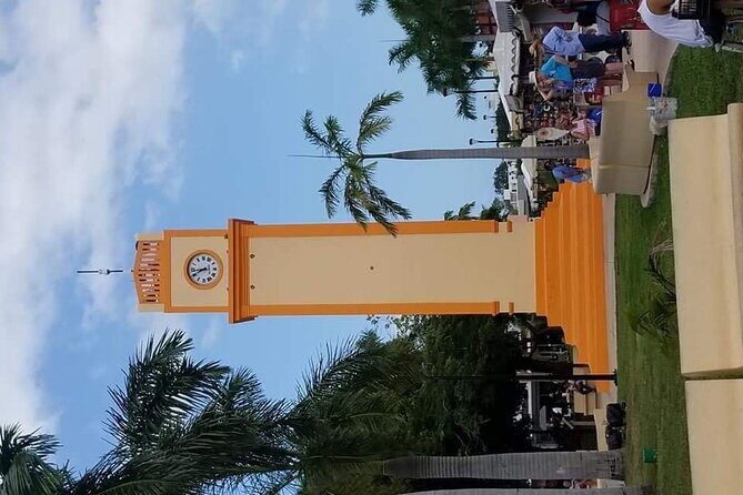 Island Tour With Private Driver - Who Should Consider This Tour?