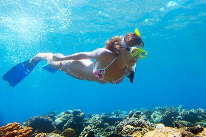 Island Tour with Snorkeling in West Bay Honduras - A Deeper Look at the Tour Experience