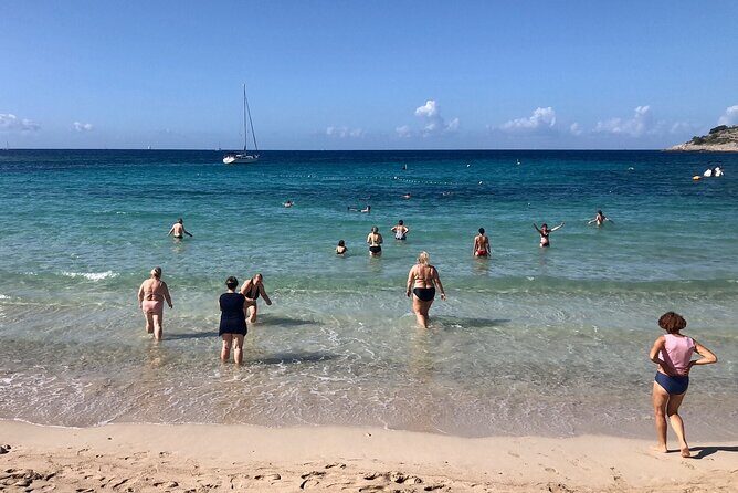 Island Tours - What the Reviews Say