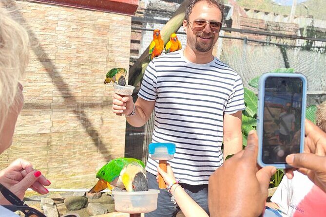 Island Transfers: St. Maarten & St. Martin Pick-Up & Drop-Off - Key Points