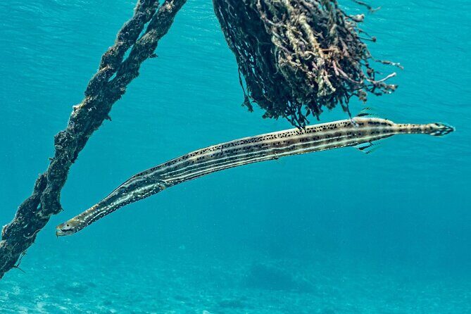 Island Treasures: Caves, Turtles and Turquoise Beach Break - A Detailed Look at the Itinerary