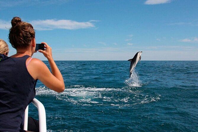 Island Visit National Park Brijuni & Dolphin Cruise - A Deep Dive into the Experience