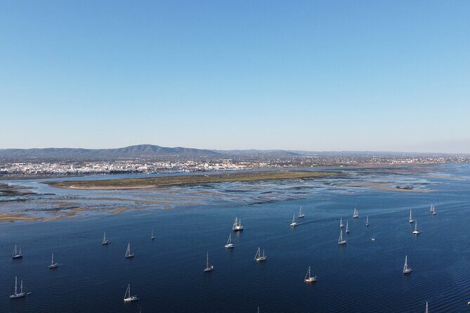 Islands Tour: Half Day Cruise in Ria Formosa National Park - Frequently Asked Questions
