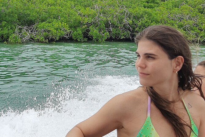 Islas del Rosario plus Bioluminescence Experience - Logistics and Practical Tips