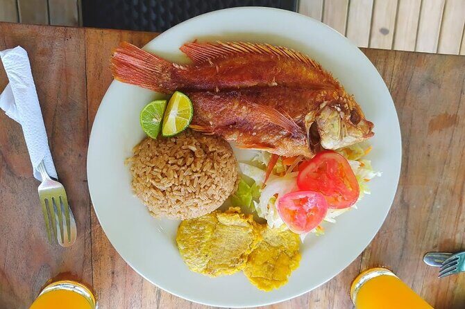 Islas del Rosario plus Bioluminescence Experience - In-depth Breakdown of the Itinerary