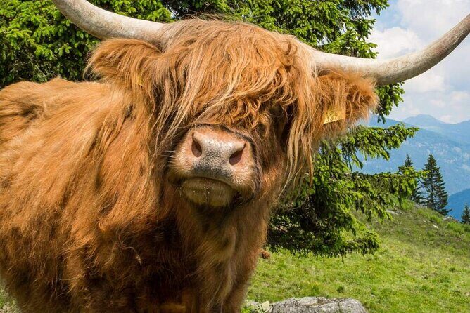 Isle of Lewis and Harris 5 Day Tour from Edinburgh - A Comprehensive Look at the Isle of Lewis and Harris 5-Day Tour