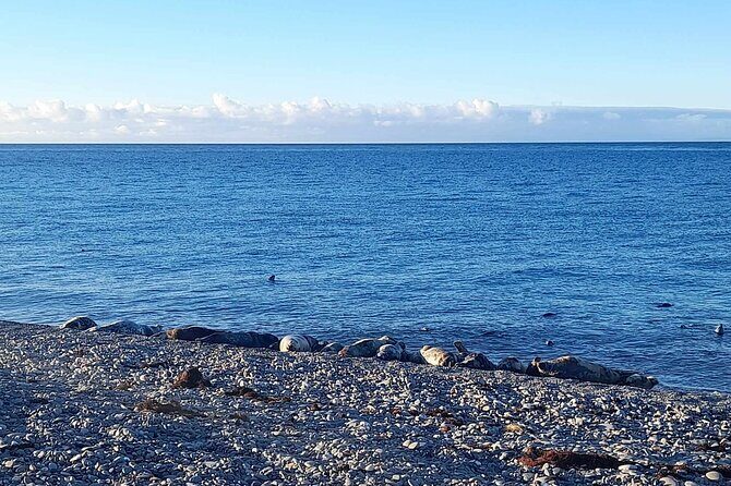 Isle of Man Wildlife & Scenic Adventure with Wildlife enthusiast - A thorough look at the Isle of Man Wildlife & Scenic Adventure