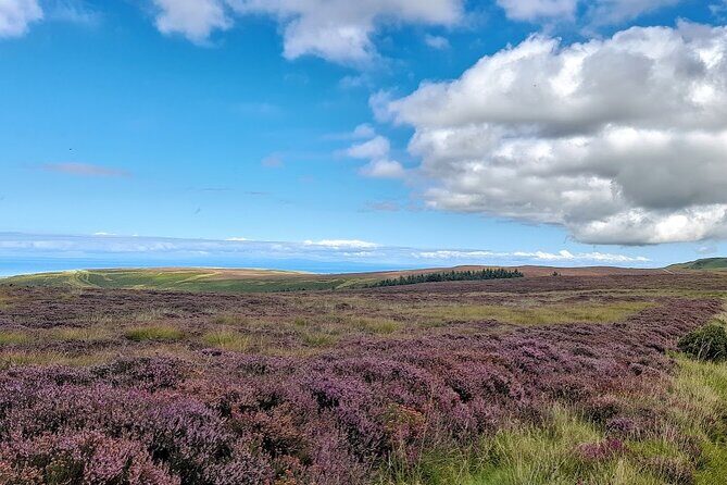 Isle of Man Wildlife & Scenic Adventure with Wildlife enthusiast - The Practical Side: Transport, Timing, and Value