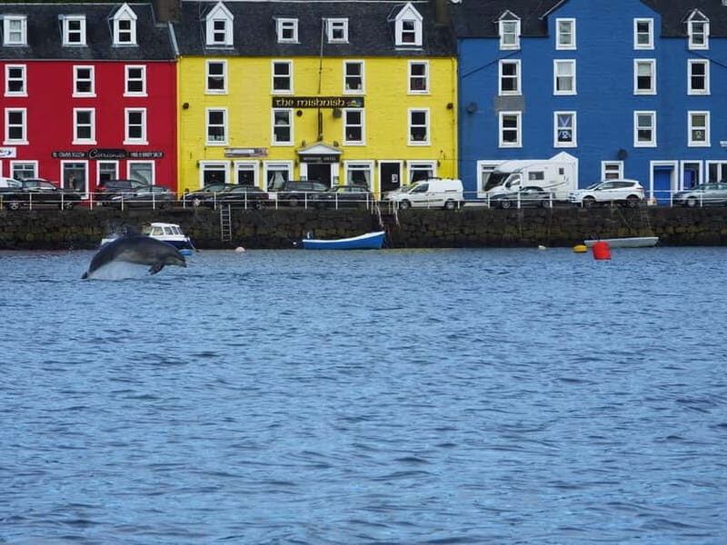 Isle of Mull: Guided Coastal Walk to Tobermory Lighthouse - Key Points