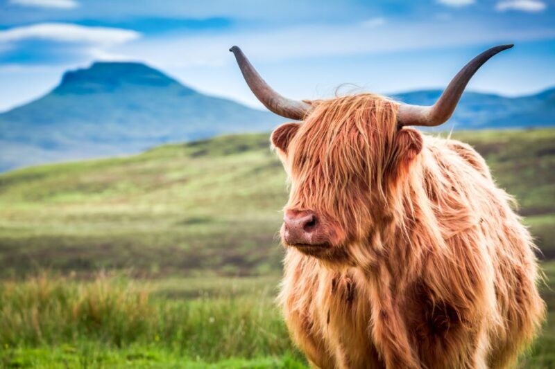 Isle of Skye & The Highlands: 3-Day Guided Tour from Glasgow - Who Is This Tour Best For?