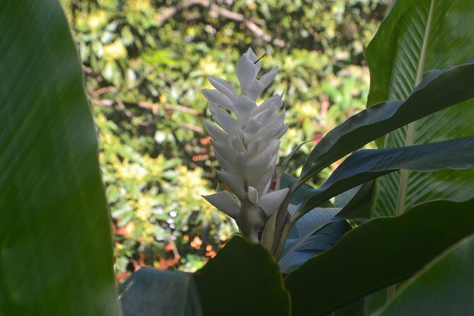 Isle of Spice Adventure Tour - Final Thoughts