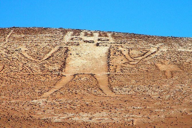 Isluga National Park Tour - Exploring Isluga: An In-Depth Look at the Tour