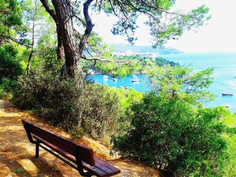 Istanbul: 3 Princes' Islands Cruise with Lunch and Guide - Final Thoughts: Is This Tour Right for You?