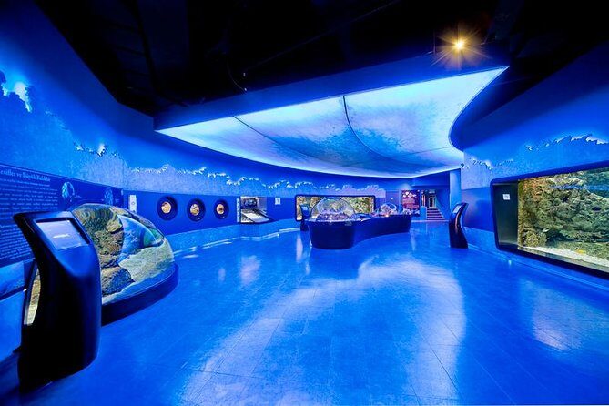 Istanbul Aquarium and Aqua Florya Independent Shopping Trip - A Closer Look at the Experience