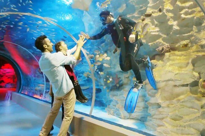 Istanbul Aquarium and Aqua Florya Independent Shopping Trip - FAQ